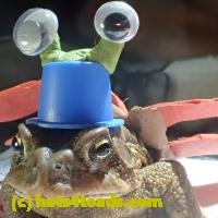/home//u458753944/public_html/sourcegallery//////Roxborough Toad Detour/2013-2019/2018/2018-04-13/P4130035.JPG